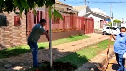 Após relato em rede social, Vereador Parra altera local de ponto de ônibus no Esmeralda