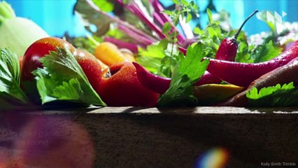 5 Easiest Vegetables to Grow at Home