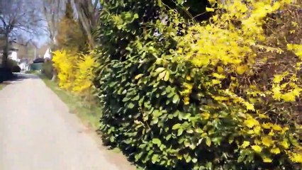 Sights & Sounds Of Kalvarienberg, Graz, Austria (Sunday 5th April 2020)