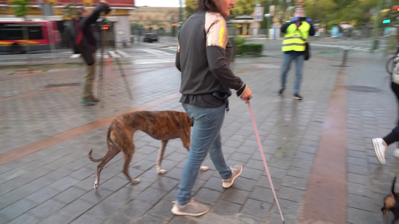 Ramos de flores en la Basílica de la Macarena