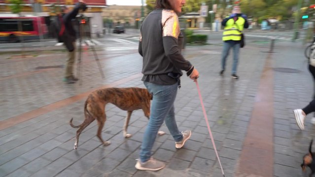 Ramos de flores en la Basílica de la Macarena