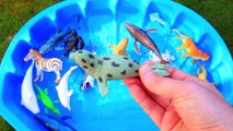 Learn Colors with Wild Animal Toys Sharks in Blue Water Tub Toys For Kids