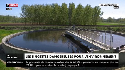 Les lingettes dangereuses pour l'environnement