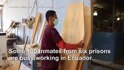 Coronavirus: Prisoners in Ecuador help build coffins
