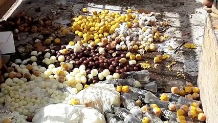 शिवपुरीः मिठाई की दुकानों में 18 दिन से रखी मिठाईयां नष्ट की
