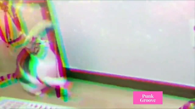 Cute and Funny Cats Videos Compilations Funny Animal Fails Compilations