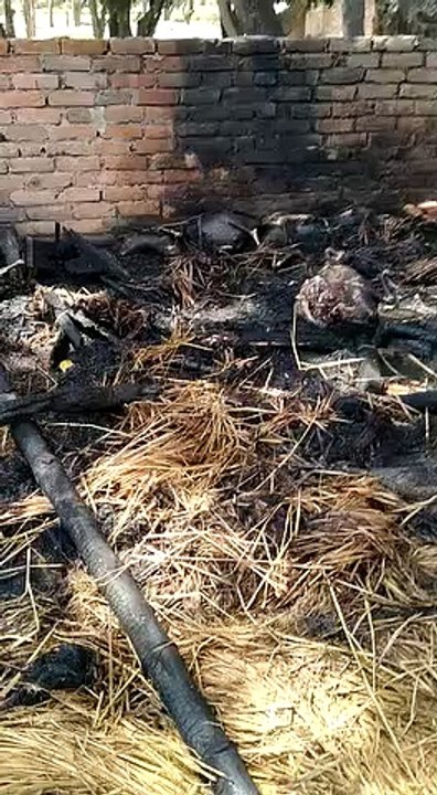 सुल्तानपुर: अज्ञात कारणों से लगी आग, मवेशी सहित घर का सामान जलकर हुआ राख