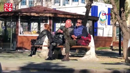 Vatandaşın parkta oturma tutkusu