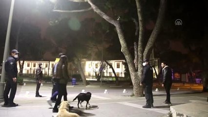 Ağaçta mahsur kalan kedi kurtarıldı