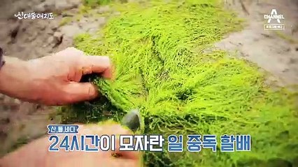 [예고] 달걀 하나로 연 매출 3억 원 부르는 비밀은?!