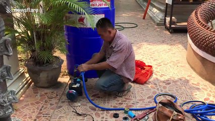 Buddhist monks in Thailand make disinfecting tunnel