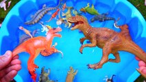 alioop - Dinosaurs for kids, Dinosaurs Find Baby Mom, Jurassic World Dinosaur Toys Kids Video