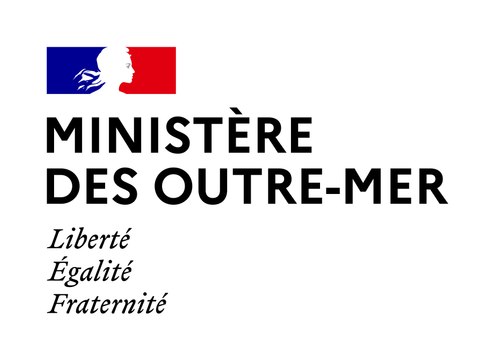 Conférence de presse Annick Girardin 10/04/2020