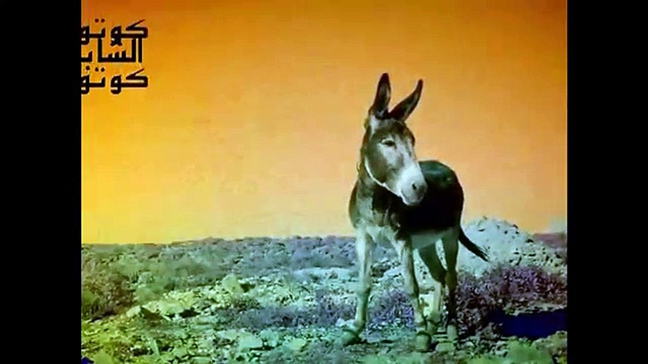 الأغنية المغربية التي يبحث عنها الجميع the best music in morocco