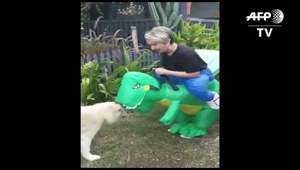 التنكر لرمي النفايات موضة جديدة في ظل الحجر المنزلي حول العالم