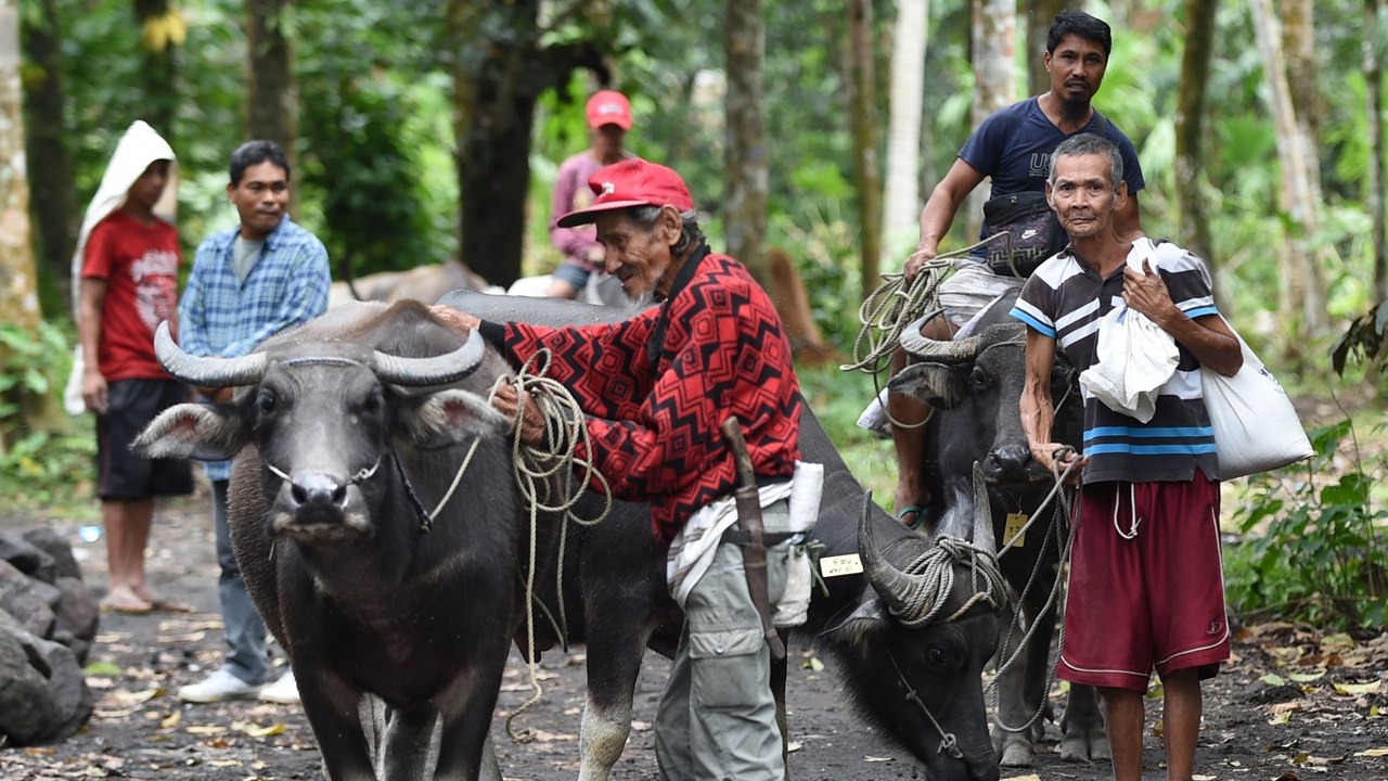 Philippines virus lockdown affects supply, sale of crops