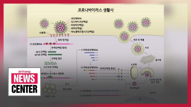 S. Korean researchers discover genetic map of novel coronavirus