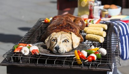 China prohibe a sus ciudadanos seguir comiendo carne de perro