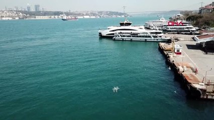 İSTANBUL BOĞAZI TURKUAZA BÜRÜNDÜ