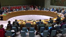 الخلافات في مجلس الأمن تعرقل صدور قرار بشأن مواجهة كورونا