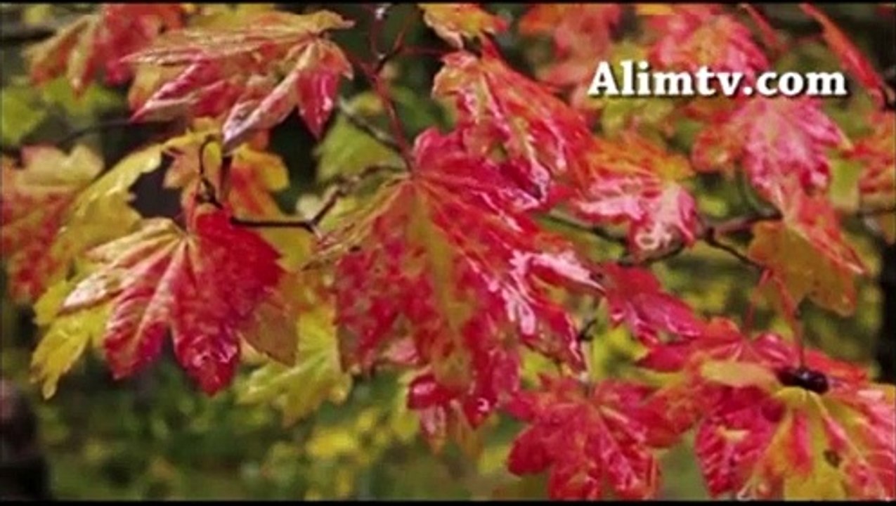 Namazın önemi ve fazileti 4 - M. Zeki Ceylan