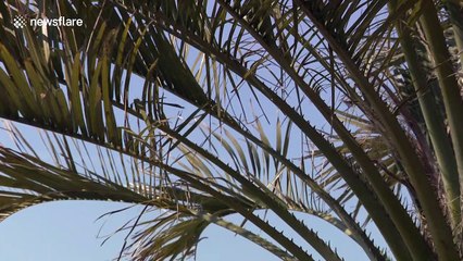 Easter on Weymouth beach under lockdown CONTRAST to last year