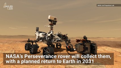 Should We Worry About Mars Samples Being Brought Back to Earth?