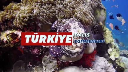 Dalış eğitmenlerinden klipli "evde kal" mesajı