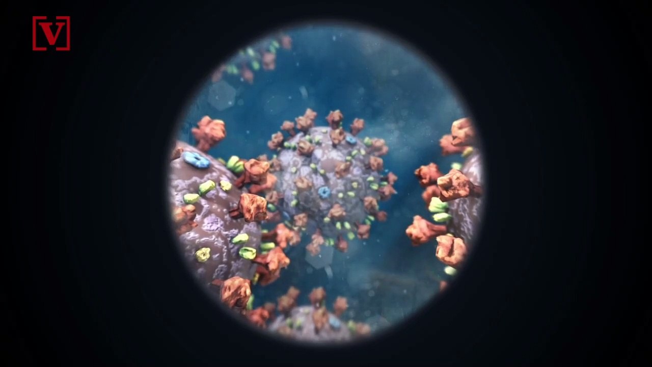 If Dr. Anthony Fauci Is Featured in an SNL Skit, He Wants Brad Pitt to Play Him