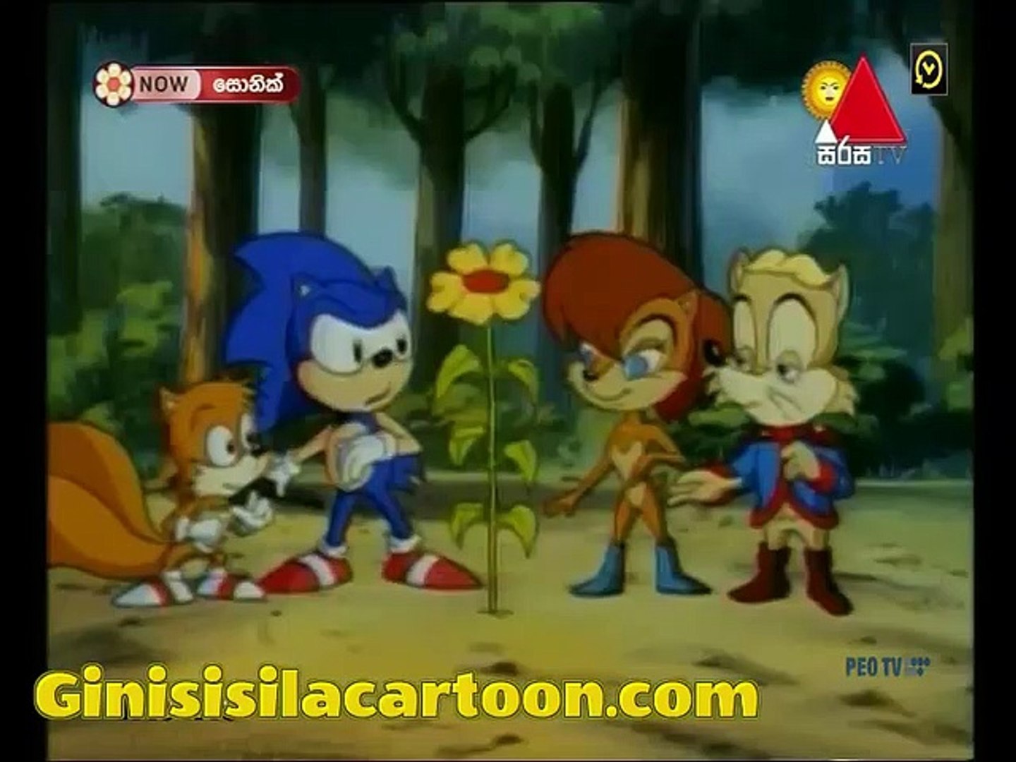 SONIC 11
