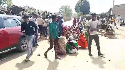 17 घंटे घूम रही बाघिन, रात एक बजे मिली लोकेशन