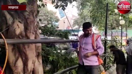 लखनऊ में तेज़ हवा के चलते गिरा कई साल पुराना पेड़