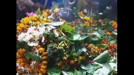 Devotee gather in Semradh Nath Mandir bhadohi on Mahashivratri