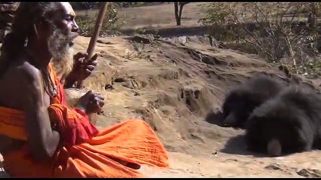 bears Dhuni with saints, listening to instruments Rama tunes