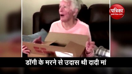दादी मां को बच्चों ने दिया सरप्राइज, बॉक्स खोलकर देखने पर छलके आंसू