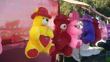 जोधपुराइट्स ने जोश और उत्साह से मनाया teddy day