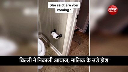मालिक के उस वक्त उड़े होश, जब बिल्ली ने बोला- 'क्या आप आ रहे हैं'