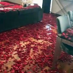 Gökhan Çıra'dan Selin Ciğerci'ye inanılmaz sürpriz! Selin Ciğerci inanamadı