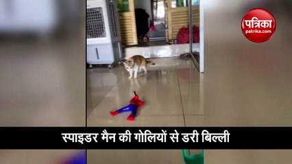 Video : रोबोट की गोली से बिल्ली के उड़े होश, हंस-हंसकर लोग हुए पागल