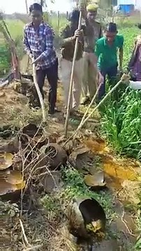 अवैध हथकढ शराब के खिलाफ थाना पुलिस की कार्रवाई