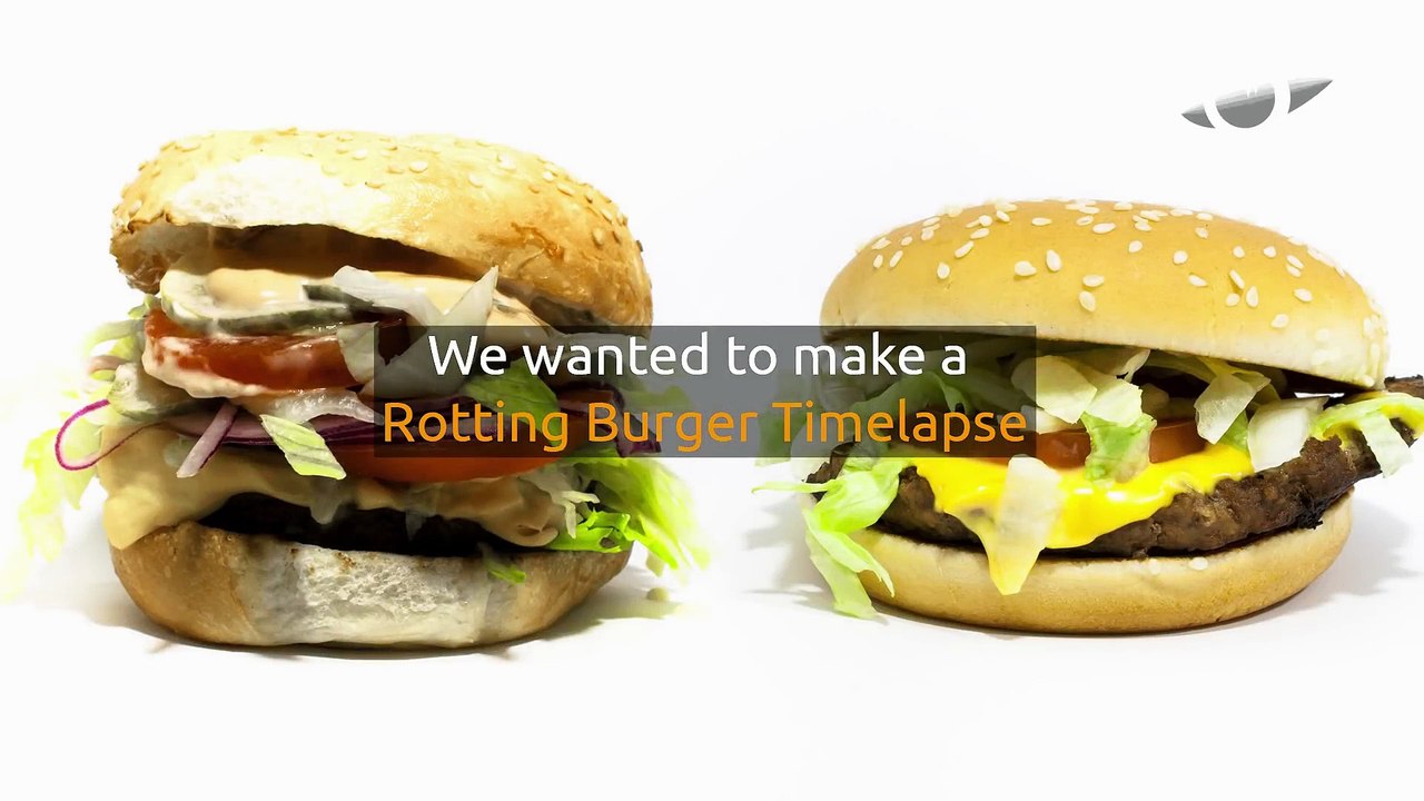 Burger Timelapse Battle