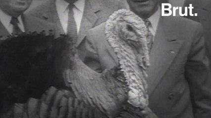 #TBT Presidents Pardon Turkeys