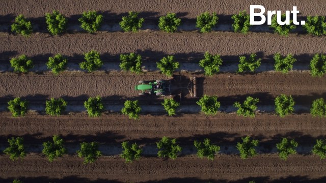 American Farmers Are Growing a YouTube Following