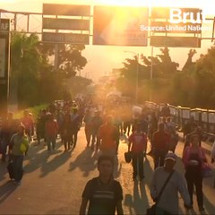 Venezuela's Economic Freefall