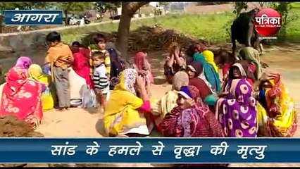 सांड ने वृद्धा पर किया हमला