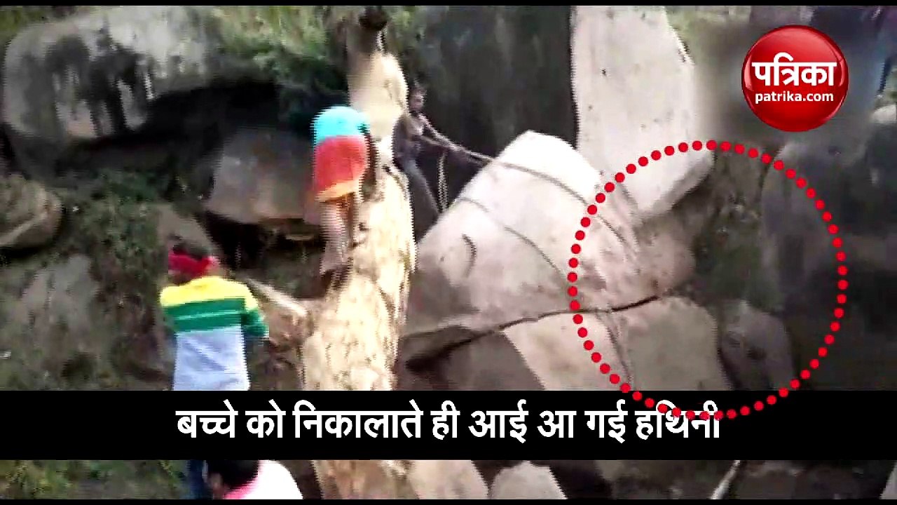 Elephant calf trapped between rock boulders rescued