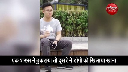 वफादारी की मिसाल कायम कर गया बेजुबां, वीडियो हुआ वायरल