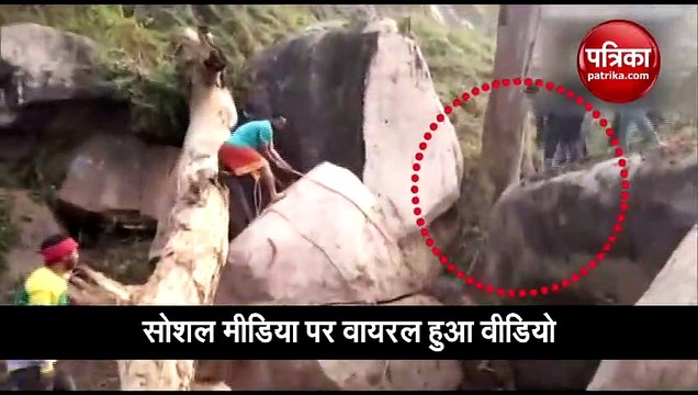 Elephant calf trapped between rock boulders rescued