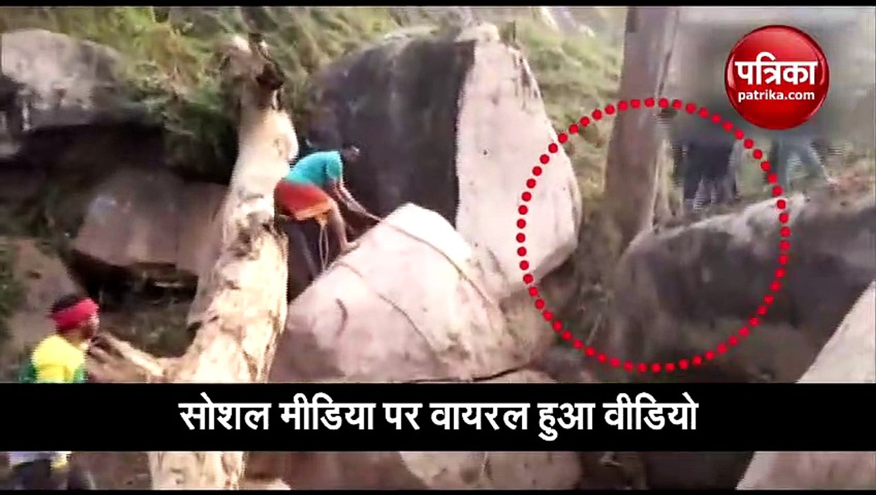 Elephant calf trapped between rock boulders rescued