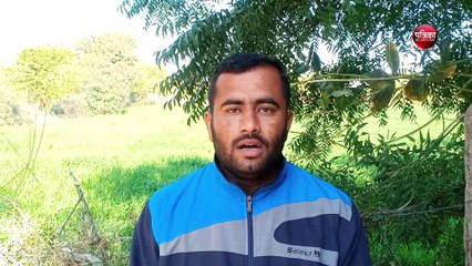 Pakistani locusts wreak havoc in Marwar